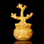 Arbre de Vie Feng Shui