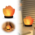 Lampe Cristal de Sel de l'Himalaya