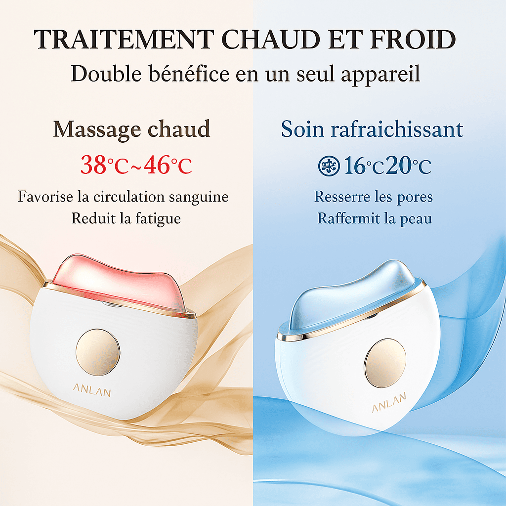 Masseur Electrique Visage EMS et LED